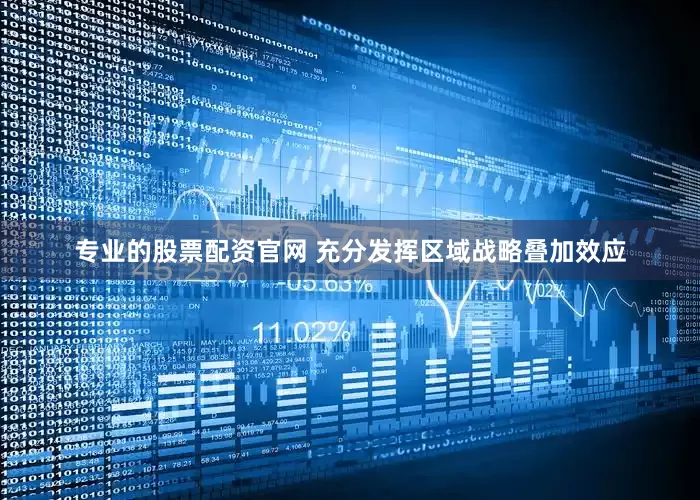 专业的股票配资官网 充分发挥区域战略叠加效应