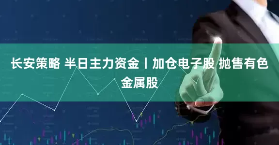 长安策略 半日主力资金丨加仓电子股 抛售有色金属股